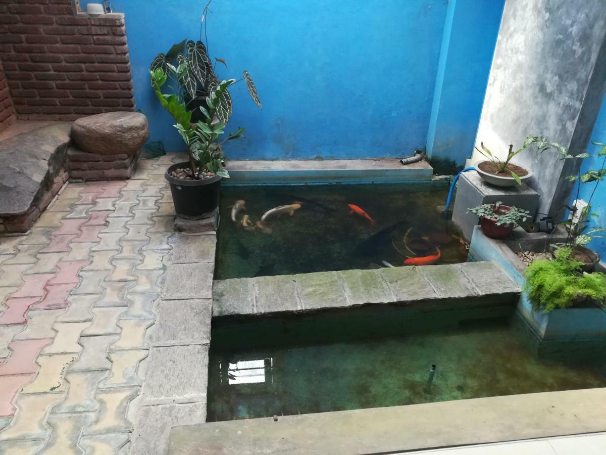 Aurora Echo Villa Matara Luaran gambar