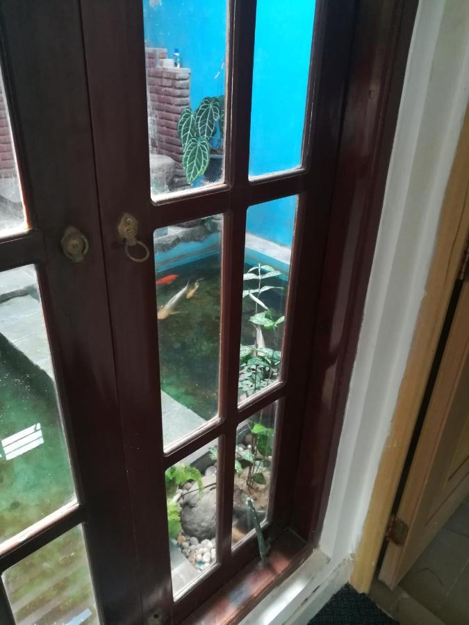 Aurora Echo Villa Matara Luaran gambar